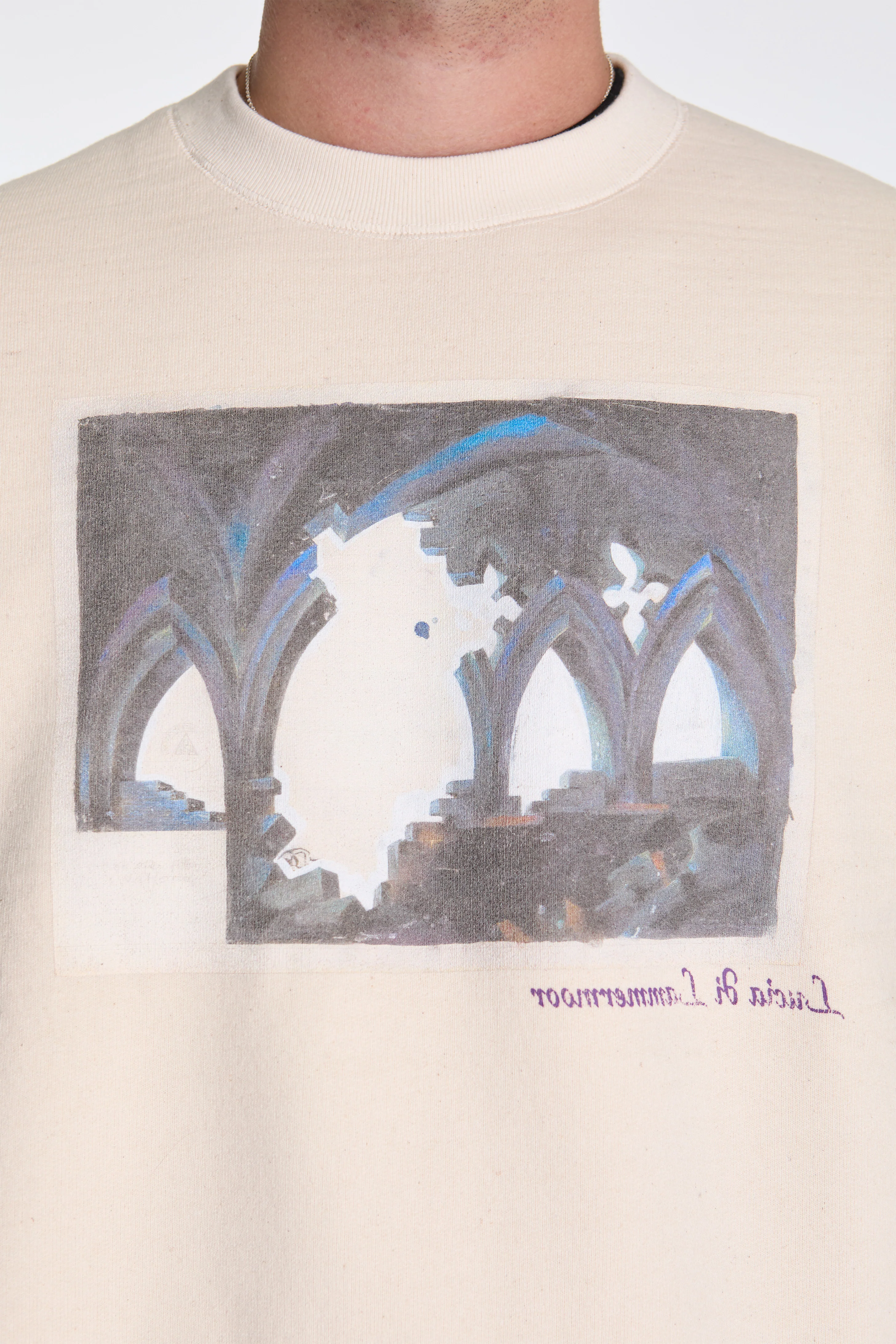Printed Sweat Shirt Oatmeal - Image 3